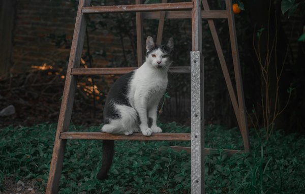 Die Wirkung gezielter Übungen auf die mentale Gesundheit von MS-Patienten: Ein Blick auf die Vorteile